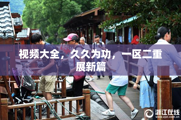 视频大全，久久为功，一区二重展新篇