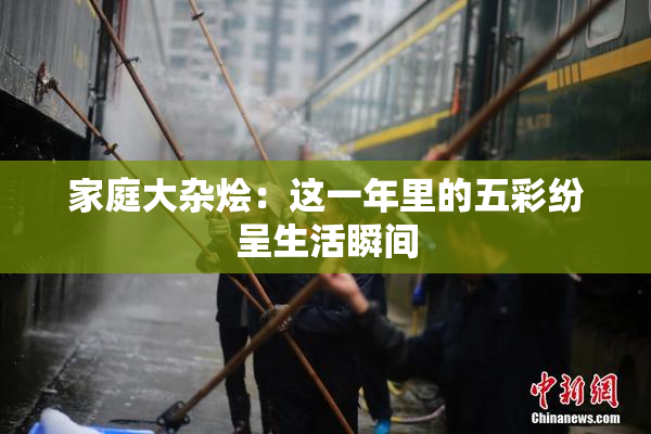 家庭大杂烩：这一年里的五彩纷呈生活瞬间