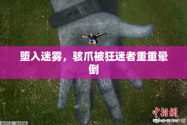 堕入迷雾，骇爪被狂迷者重重晕倒