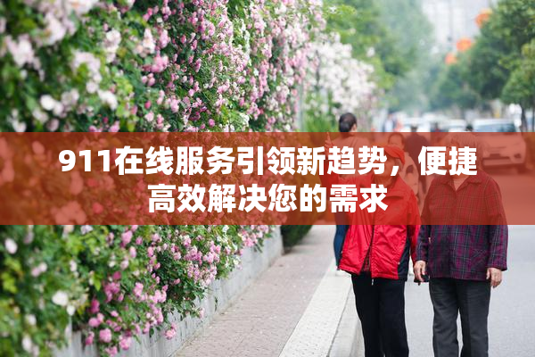 911在线服务引领新趋势，便捷高效解决您的需求