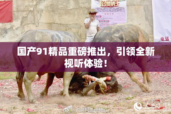 国产91精品重磅推出，引领全新视听体验！