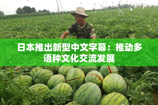 日本推出新型中文字幕：推动多语种文化交流发展