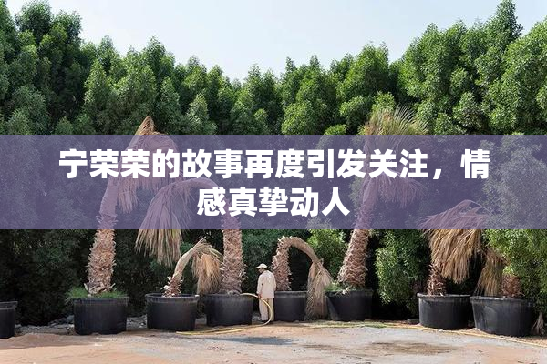 宁荣荣的故事再度引发关注，情感真挚动人