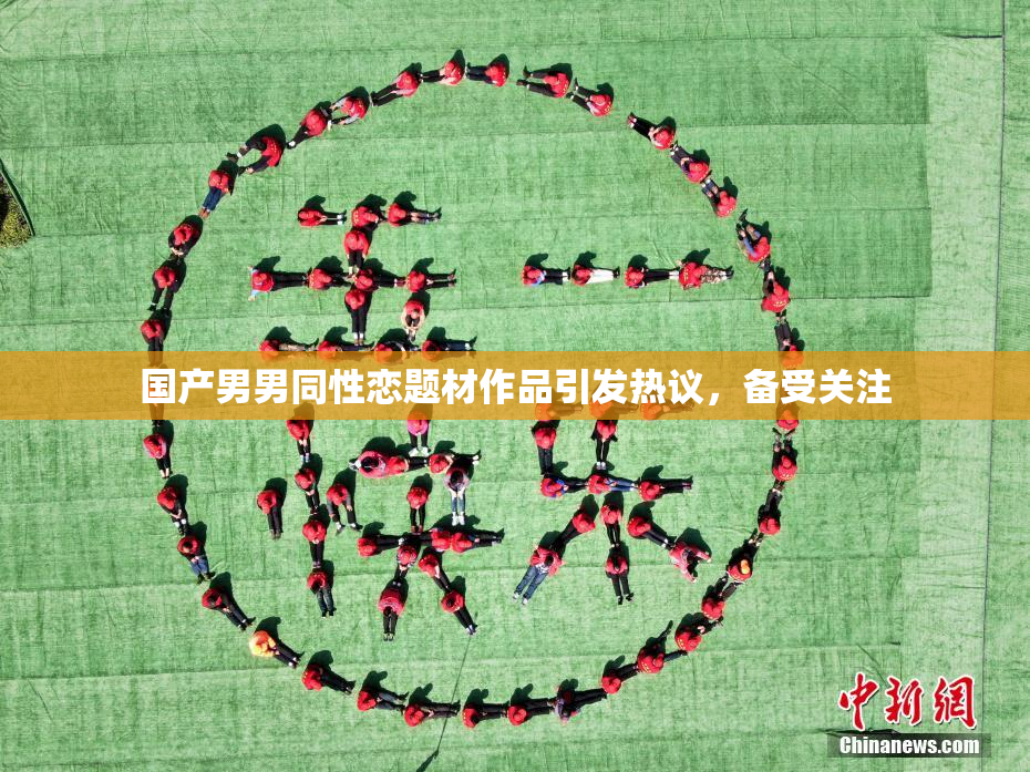 国产男男同性恋题材作品引发热议，备受关注