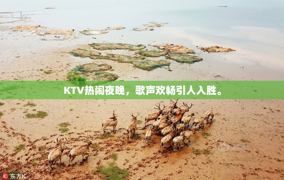 KTV热闹夜晚，歌声欢畅引人入胜。