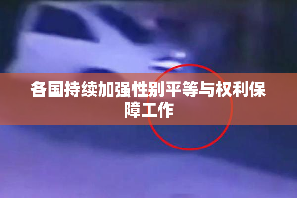 各国持续加强性别平等与权利保障工作