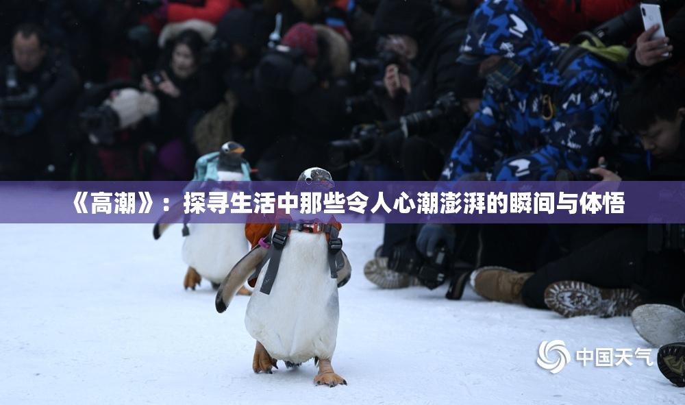 《高潮》：探寻生活中那些令人心潮澎湃的瞬间与体悟