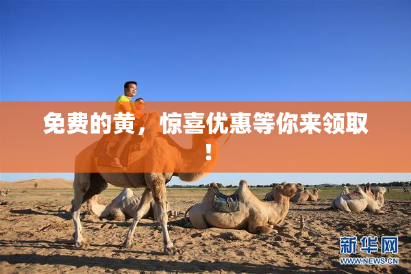 免费的黄，惊喜优惠等你来领取！
