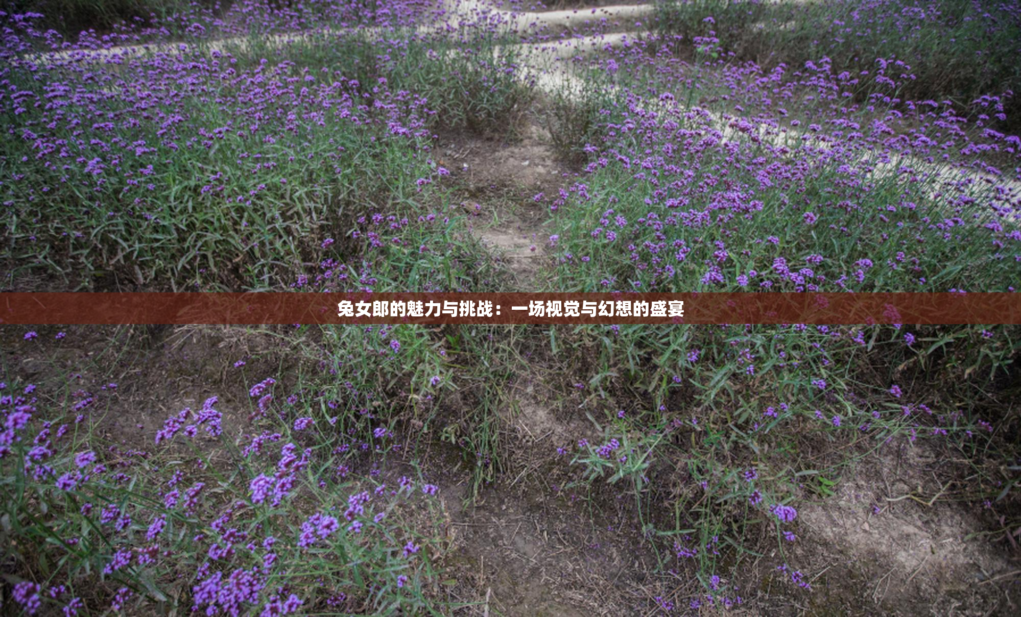 兔女郎的魅力与挑战：一场视觉与幻想的盛宴