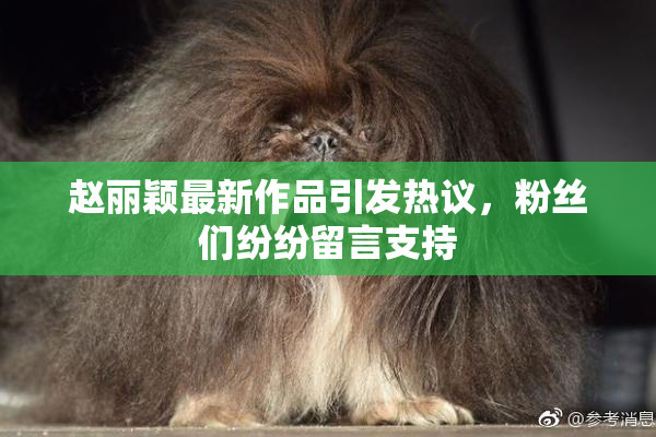 赵丽颖最新作品引发热议，粉丝们纷纷留言支持