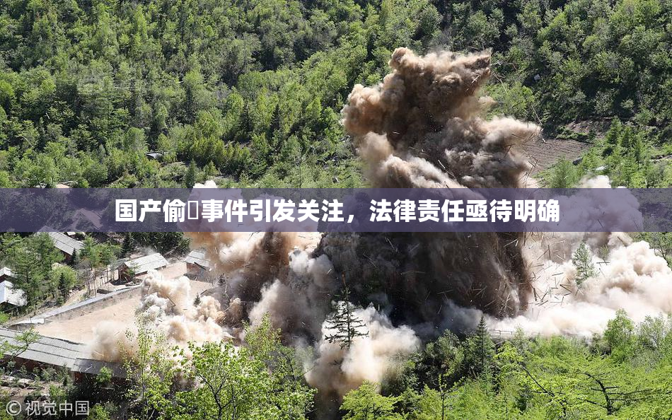 国产偷抇事件引发关注，法律责任亟待明确