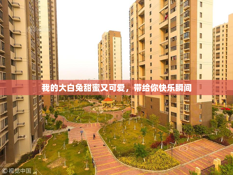 我的大白兔甜蜜又可爱，带给你快乐瞬间