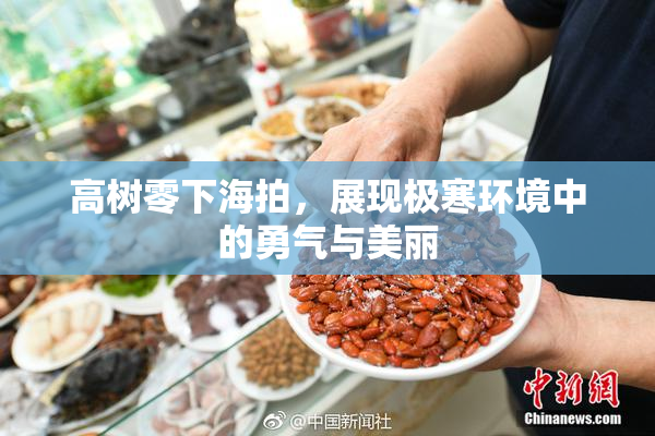 高树零下海拍，展现极寒环境中的勇气与美丽