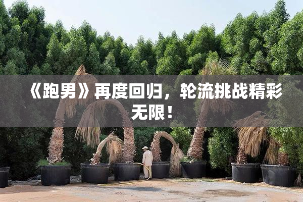 《跑男》再度回归，轮流挑战精彩无限！