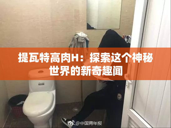 提瓦特高肉H：探索这个神秘世界的新奇趣闻