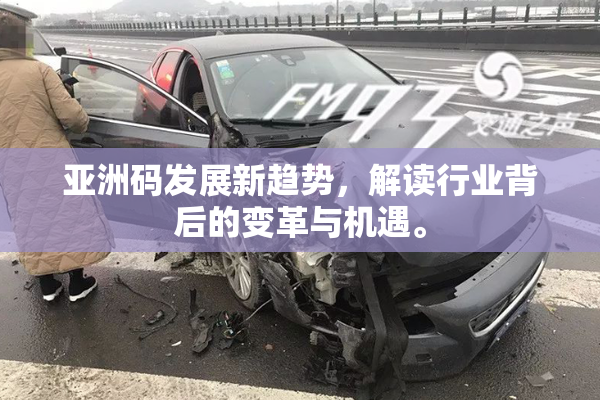 亚洲码发展新趋势，解读行业背后的变革与机遇。