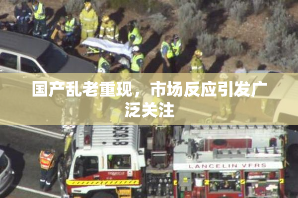 国产乱老重现，市场反应引发广泛关注