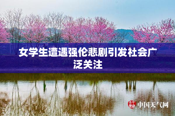 女学生遭遇强伦悲剧引发社会广泛关注