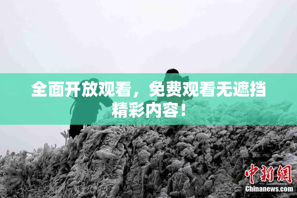 全面开放观看，免费观看无遮挡精彩内容！