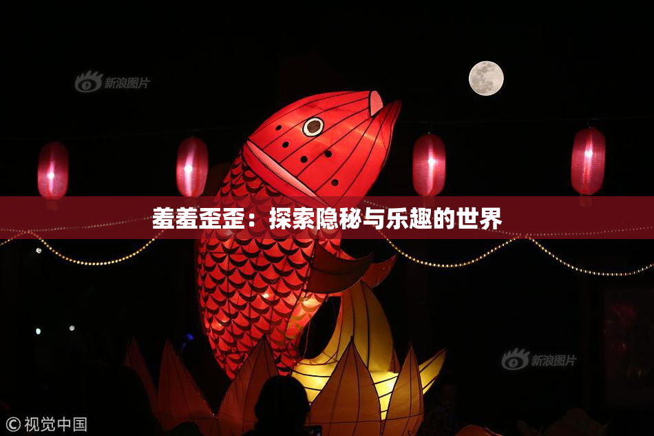 羞羞歪歪：探索隐秘与乐趣的世界