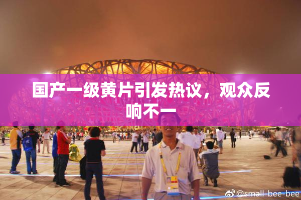国产一级黄片引发热议，观众反响不一