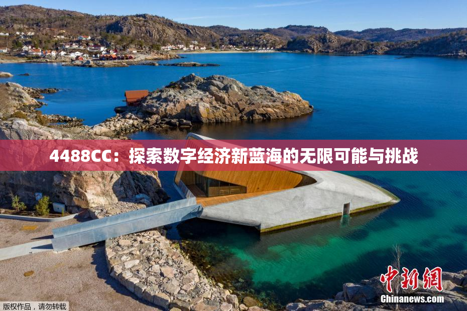 4488CC：探索数字经济新蓝海的无限可能与挑战