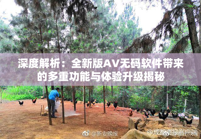 深度解析：全新版AV无码软件带来的多重功能与体验升级揭秘