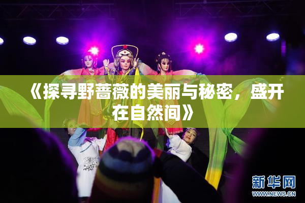 《探寻野蔷薇的美丽与秘密，盛开在自然间》