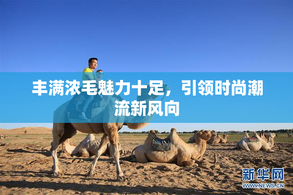 丰满浓毛魅力十足，引领时尚潮流新风向
