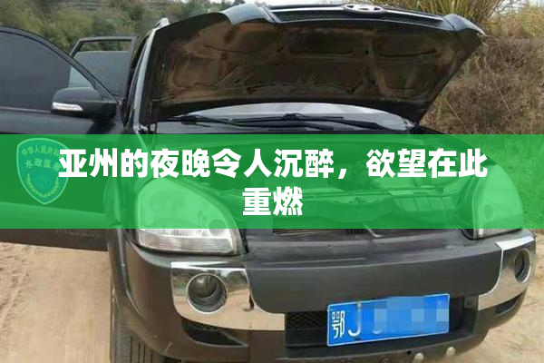 亚州的夜晚令人沉醉，欲望在此重燃