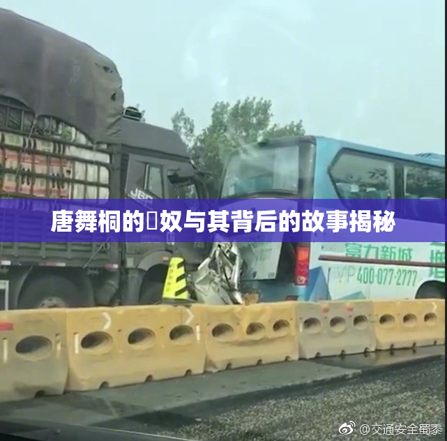 唐舞桐的婬奴与其背后的故事揭秘
