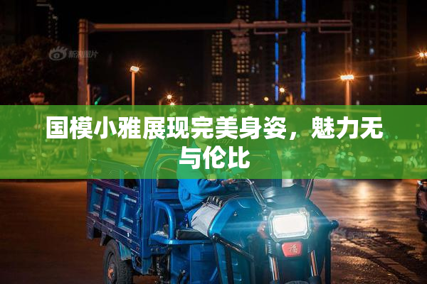 国模小雅展现完美身姿，魅力无与伦比