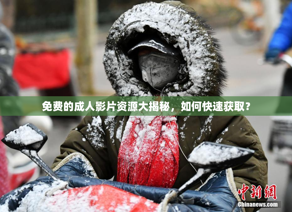 免费的成人影片资源大揭秘，如何快速获取？