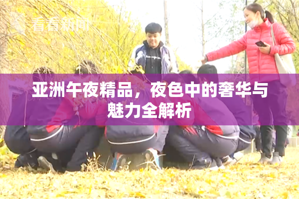 亚洲午夜精品，夜色中的奢华与魅力全解析