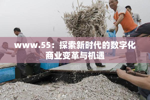 www.55：探索新时代的数字化商业变革与机遇