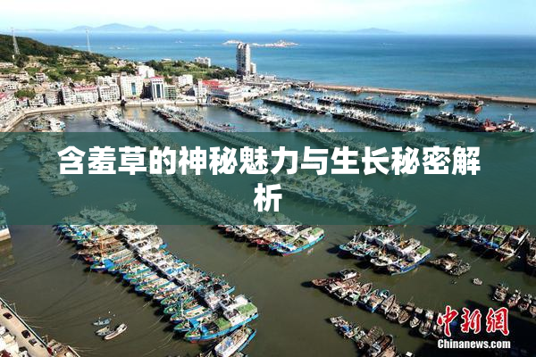 含羞草的神秘魅力与生长秘密解析