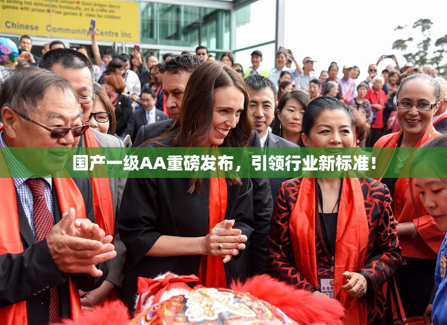 国产一级AA重磅发布，引领行业新标准！