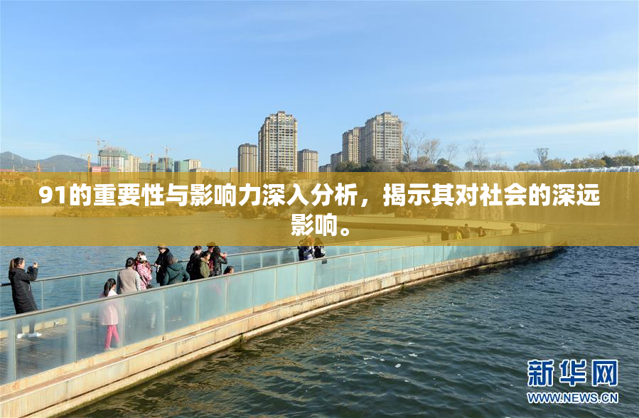 91的重要性与影响力深入分析，揭示其对社会的深远影响。
