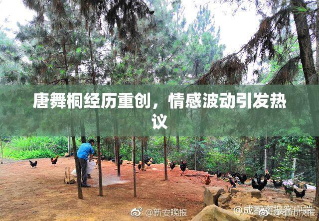 唐舞桐经历重创，情感波动引发热议