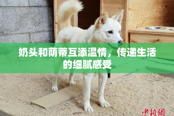 奶头和荫蒂互添温情，传递生活的细腻感受