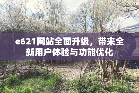 e621网站全面升级，带来全新用户体验与功能优化