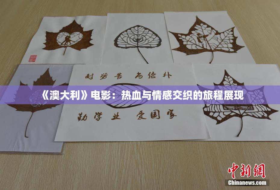 《澳大利》电影：热血与情感交织的旅程展现