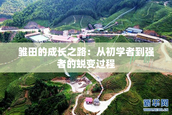 雏田的成长之路：从初学者到强者的蜕变过程