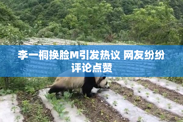 李一桐换脸M引发热议 网友纷纷评论点赞