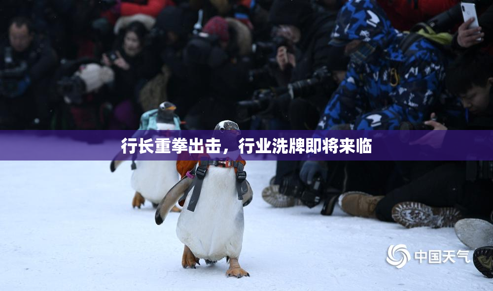 行长重拳出击，行业洗牌即将来临