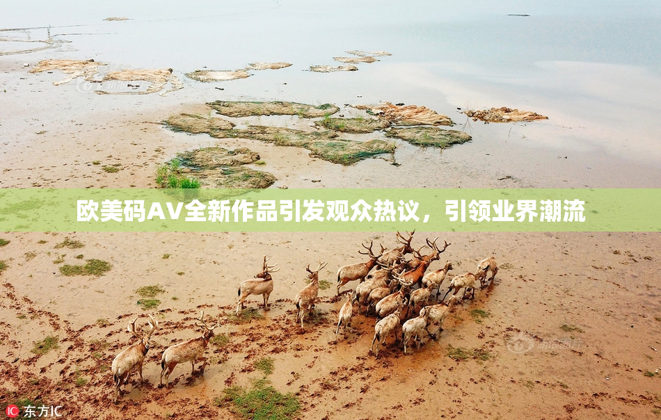 欧美码AV全新作品引发观众热议，引领业界潮流