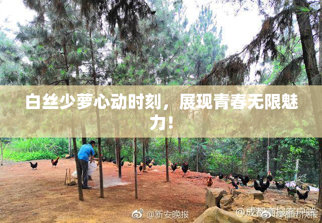 白丝少萝心动时刻，展现青春无限魅力！
