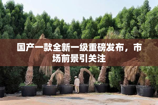国产一款全新一级重磅发布，市场前景引关注
