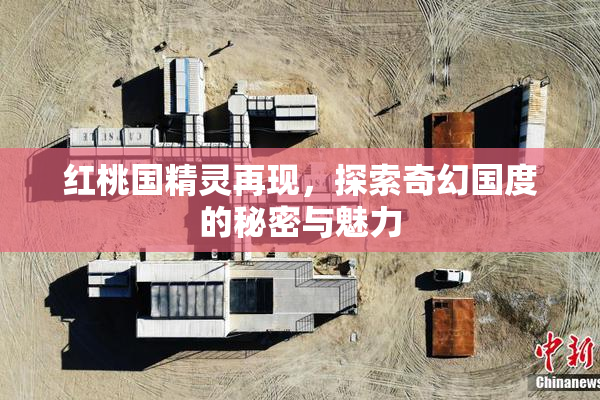 红桃国精灵再现，探索奇幻国度的秘密与魅力