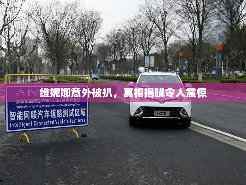 维妮娜意外被扒，真相揭晓令人震惊
